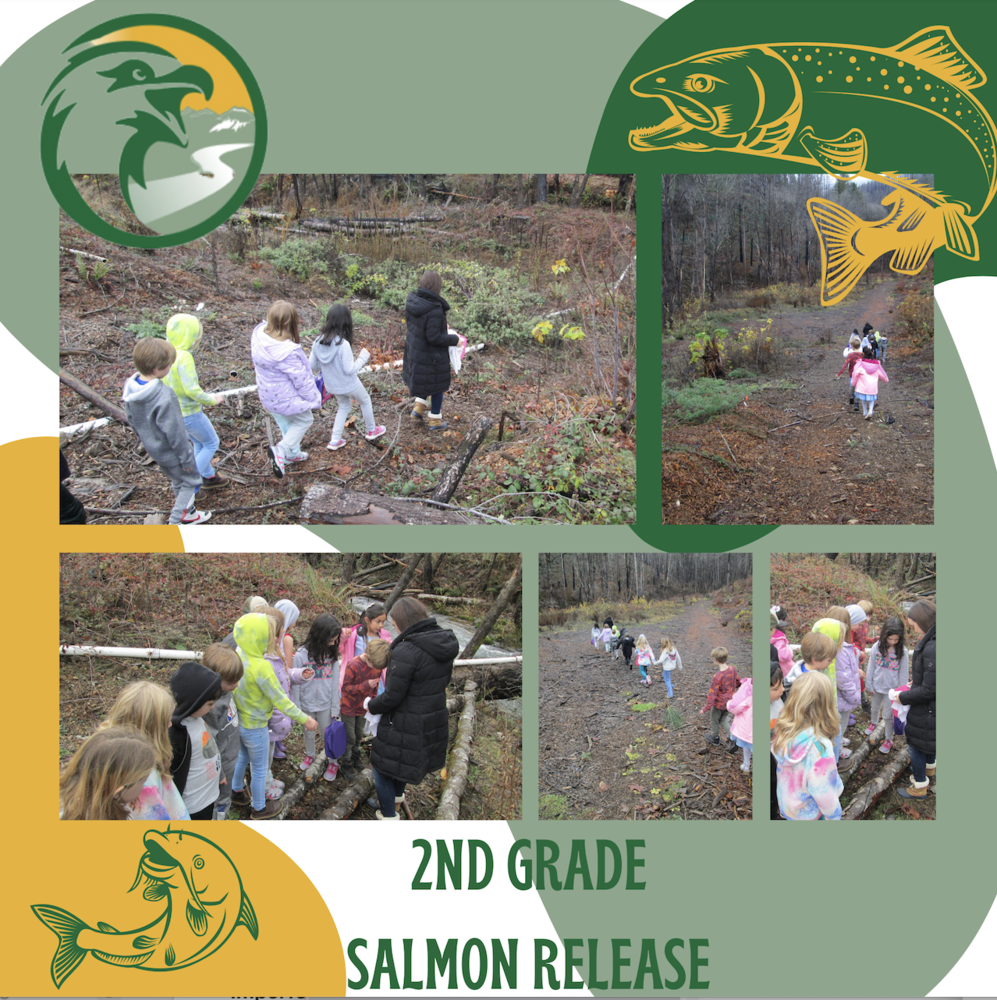 Our 2nd graders worked so hard to raise salmon in their classrooms and were finally able to release them into the river! 
