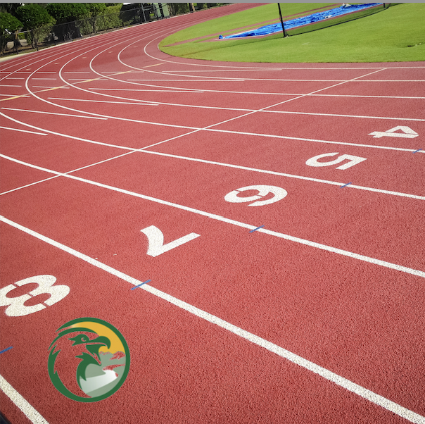 Your week in sports!  HS Track Sub District Friday, May 12  First Event at 12 pm  MS Track Championship Saturday, May 13 First Event at 11 am  Go Eagles!