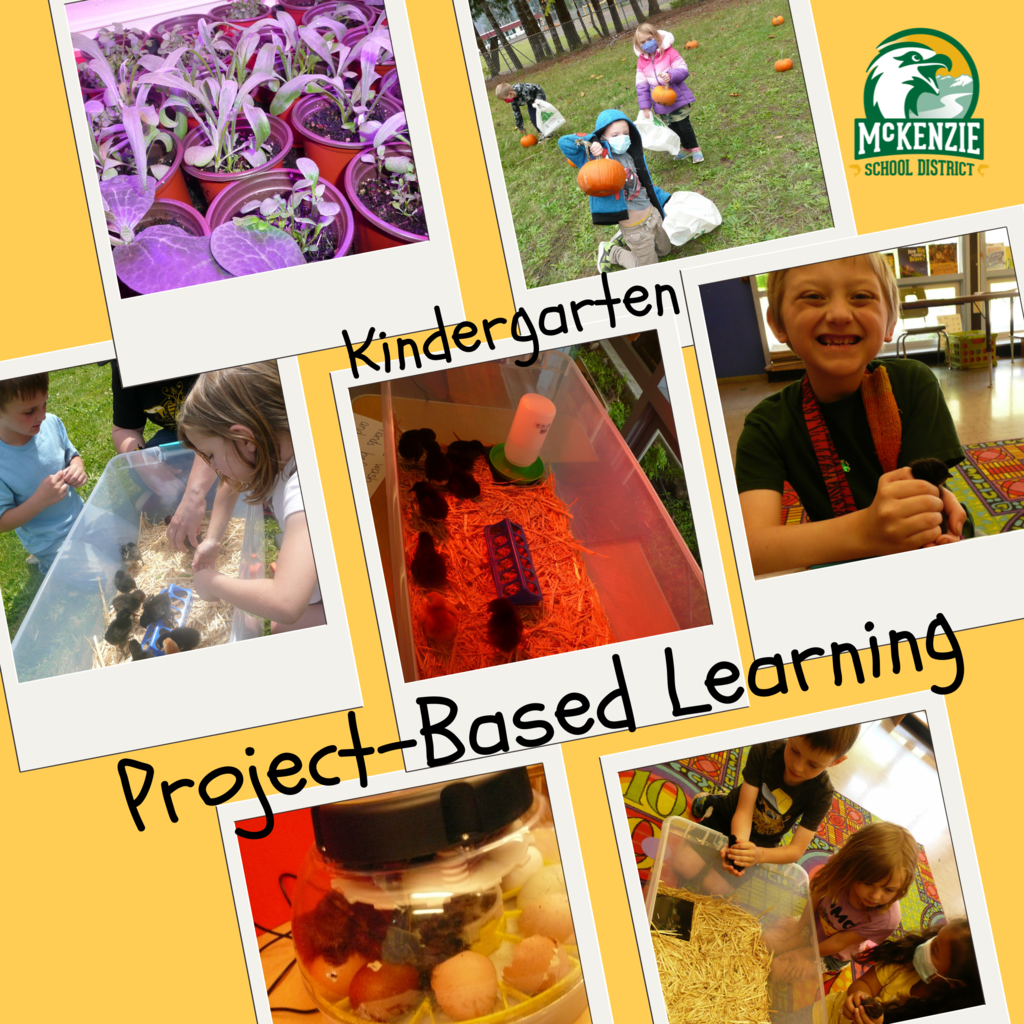 Kindergarten Project-Based Learning
