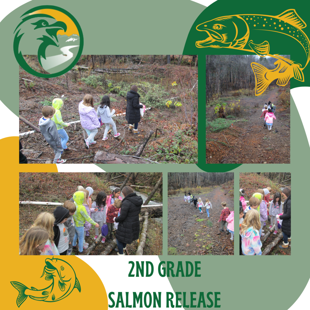 Our 2nd graders worked so hard to raise salmon in their classrooms and were finally able to release them into the river! We love teaching our youth about the beauty of the McKenzie Valley and everything it offers our community.